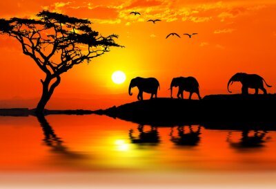 Tableau  Silhouettes d'éléphants au coucher du soleil