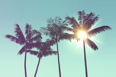 Tableau  Silhouettes tropicales de palmiers