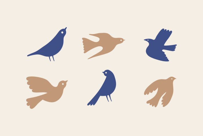 Tableau  Six oiseaux boho