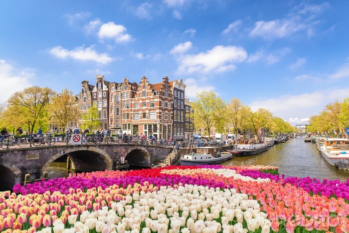 Tableau  Skyline de la ville d'Amsterdam au bord de l'eau du canal avec fleur de tulipe de printemps, Amsterdam, Pays-Bas