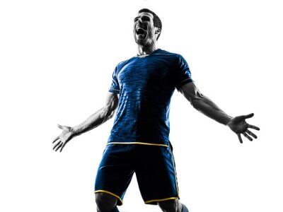 Tableau  soccer player man happy celebration silhouette isolated