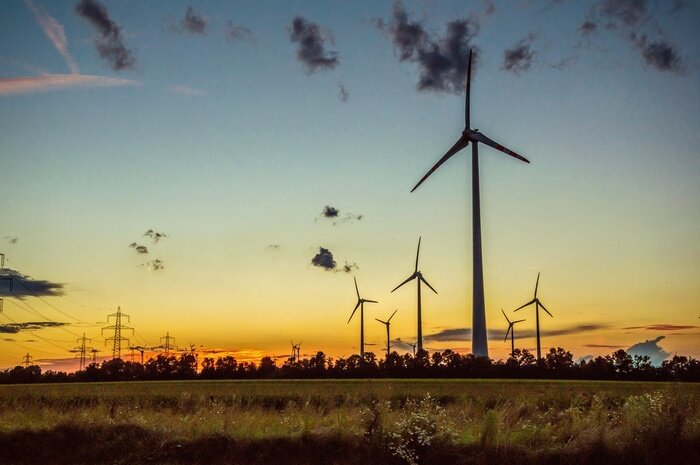 Tableau  Soirée d'été à la campagne à proximité de champs