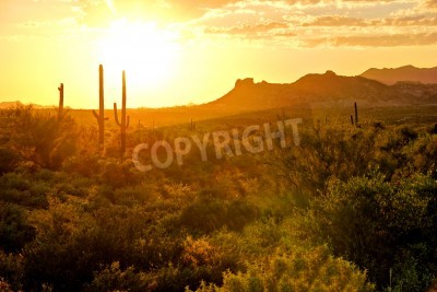 Soleil orange dans le désert de l'Arizona