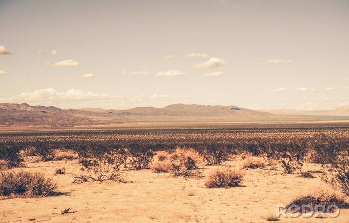Tableau  Southern California Desert