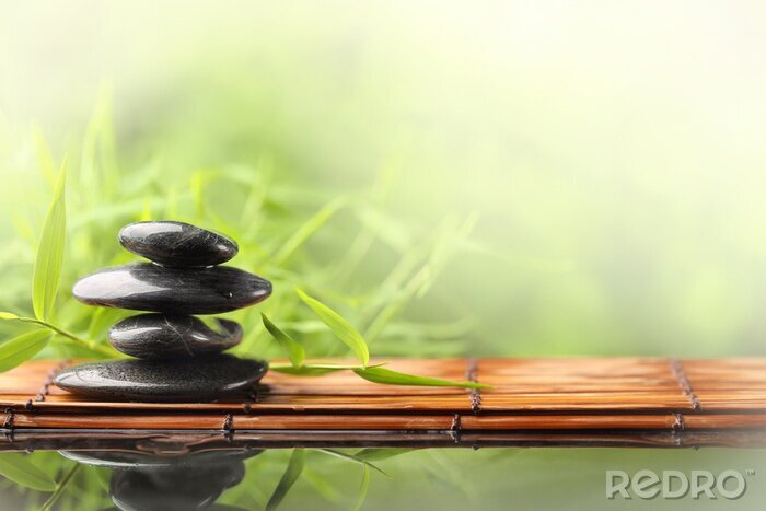 Tableau  Spa encore la vie