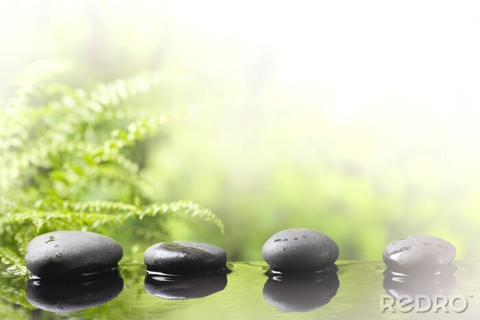 Tableau  Spa encore la vie