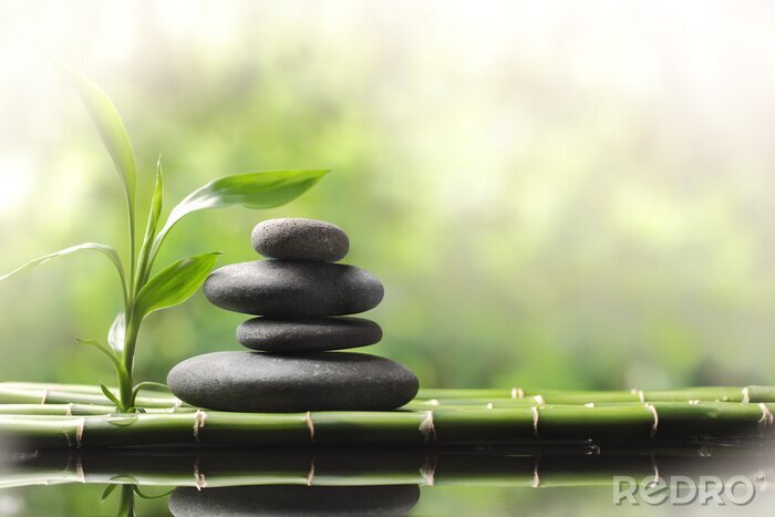 Tableau  Spa encore la vie