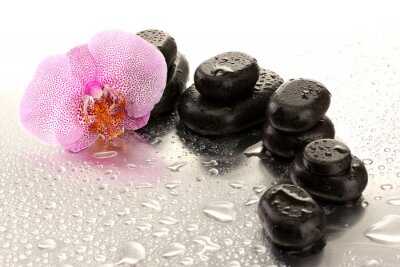 Spa pierres et de fleur d'orchidée, sur fond humide.