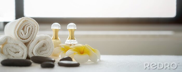 Tableau  Spa treatment concept. Spa background with spa accessories on white bathroom background.