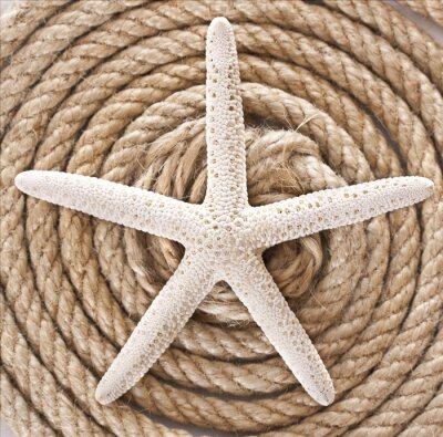 Tableau  Starfish et corde