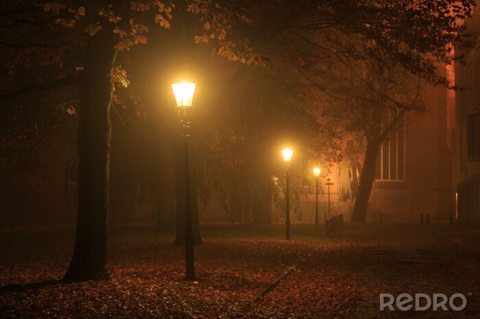 Tableau  Streetlights dans un parc sur une nuit brumeuse en automne.