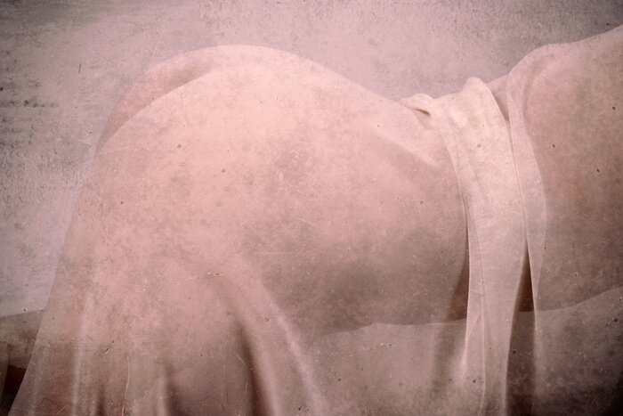 Tableau  Style grunge près image de femme nue