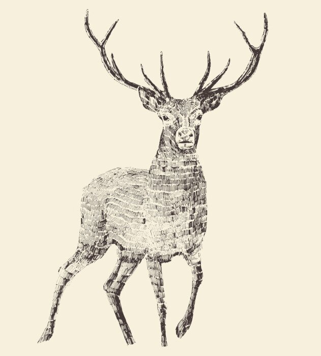 Tableau  Style scandinave cerf vintage