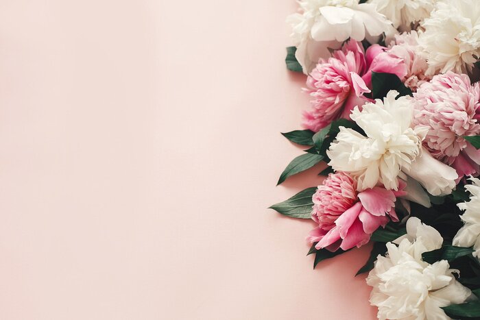 Tableau  Stylish pink and white peonies border on pink paper flat lay with space for text. Happy mother's day. International womens day. Greeting card mockup. Hello spring