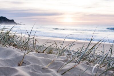 Tableau  sunrise light on white sand beach with dune grass in Australia with turquoise surf waves of the pacific ocean 