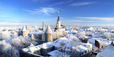Tableau  Tallinn ville. Estonie. Neige sur les arbres en hiver, vue panoram