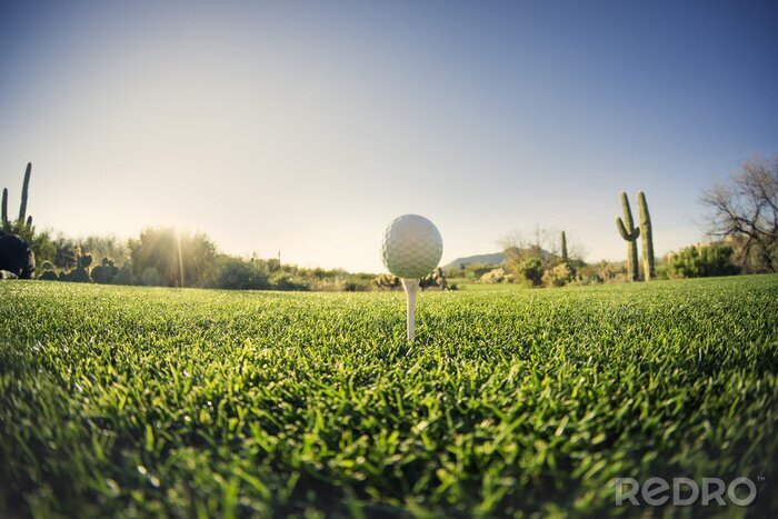 Tableau  Tee off - Golfball vue grand-angle effet de lentille fisheye.