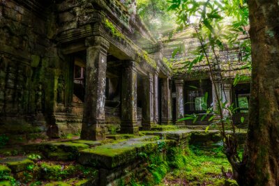Tableau  Temple de la jungle