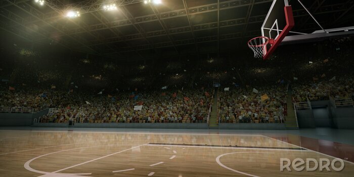 Tableau  Terrain de basket avant le match