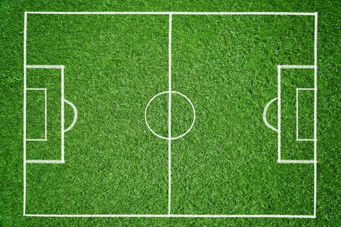 Tableau  Terrain de foot gazon vert