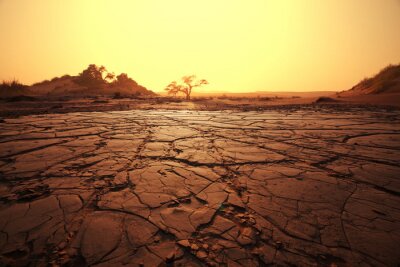 Tableau  terre de la sécheresse