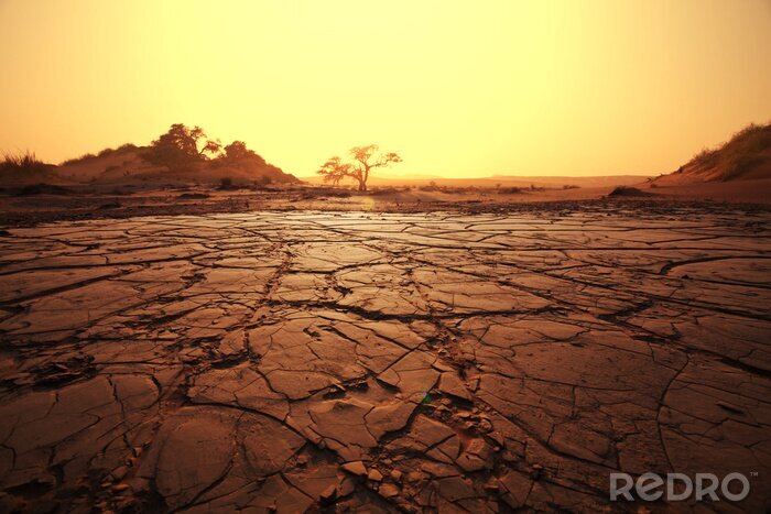 Tableau  terre de la sécheresse