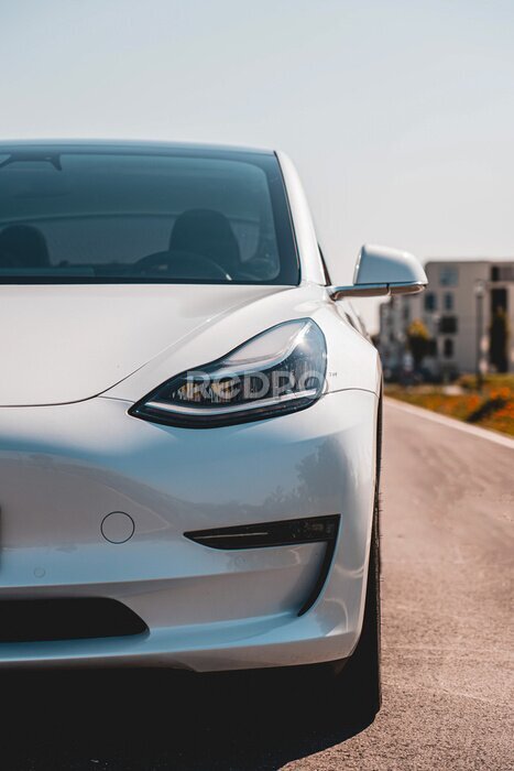 Tableau  Tesla blanc élégant