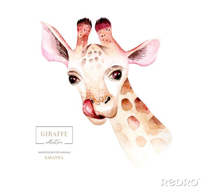Tableau  Tête de girafe aquarelle