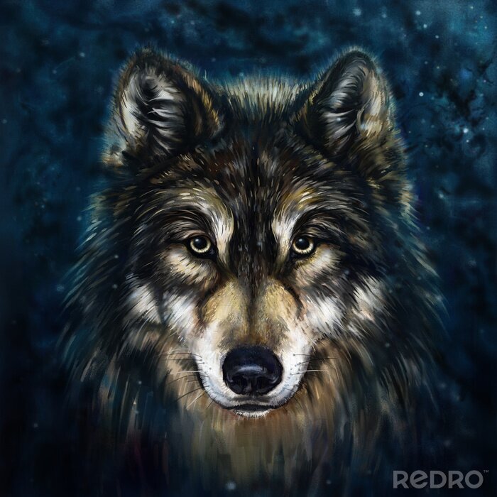 Tableau  Tête de loup de face