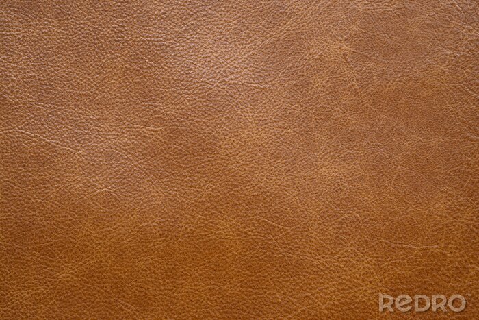 Tableau  Texture matériau en cuir