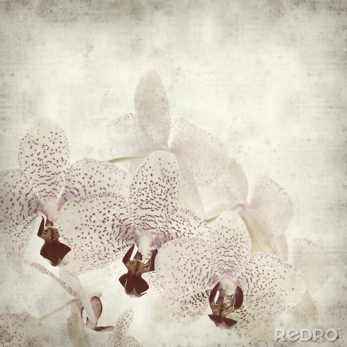 Tableau  texture vieux fond de papier avec