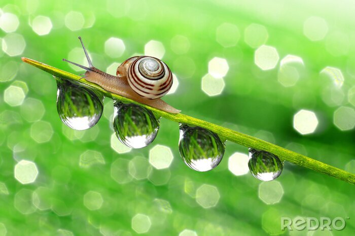 Tableau  Thème de la nature pour les enfants