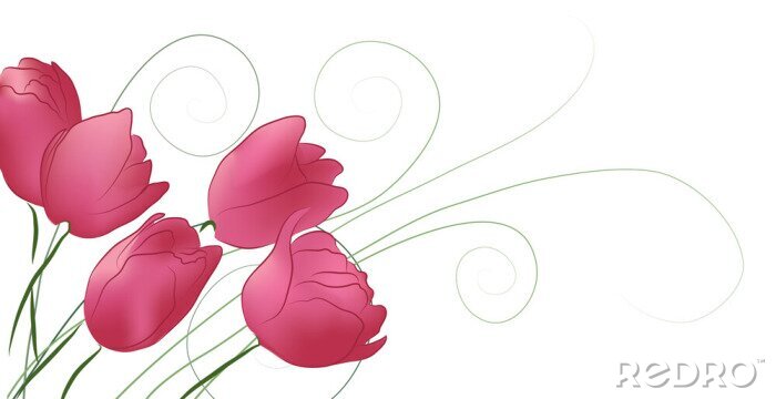 Tableau  Thème minimaliste avec des tulipes