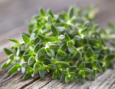 Tableau  Thyme spice