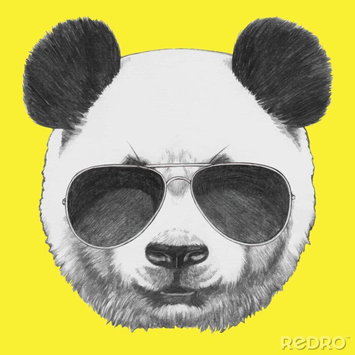 Tableau  Tiré par la main portrait de panda avec des lunettes de soleil. Vecteur isolé éléments.