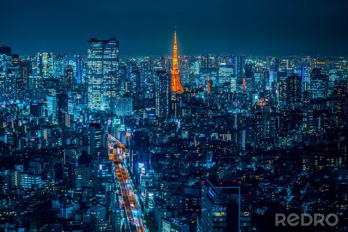 Tableau  Tokyo 3D de nuit
