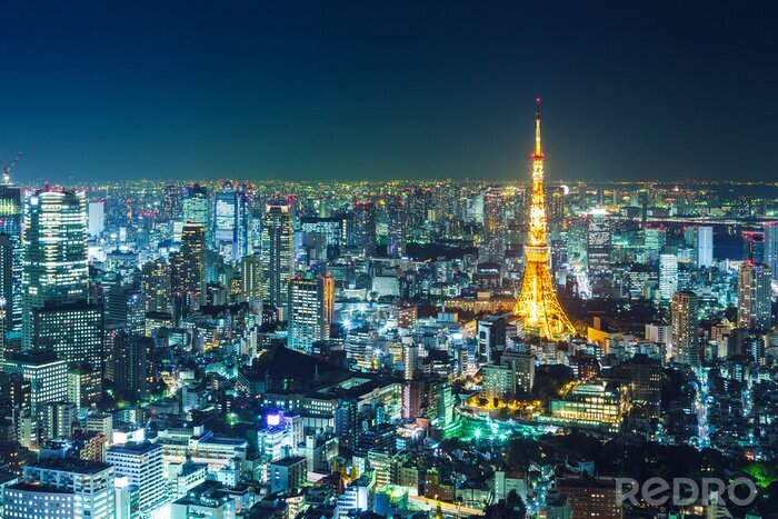 Tableau  Tokyo horizon dans la nuit
