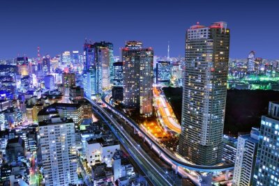 Tokyo la nuit panorama