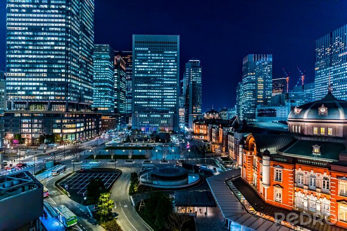 Tableau  Tokyo nocturne et bâtiments éclairés