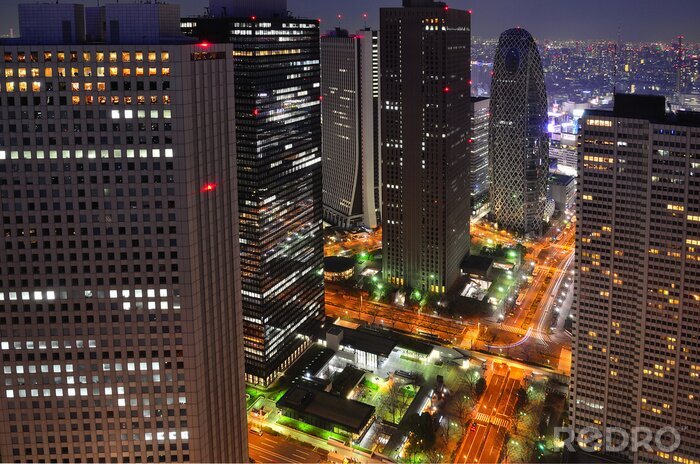 Tableau  Tokyo par nuit