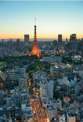 Tableau  Tokyo skyline