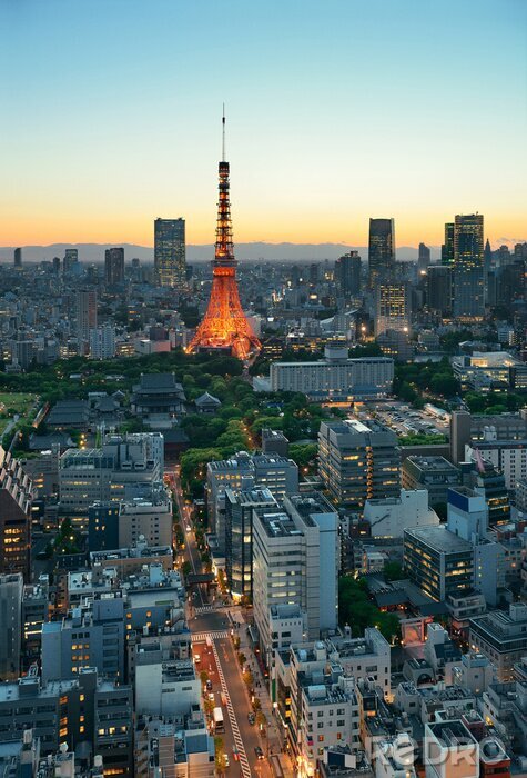 Tableau  Tokyo skyline