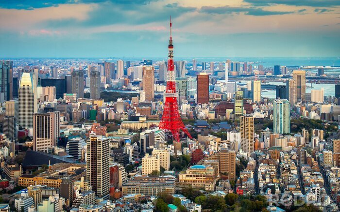 Tableau  Tokyo vue sur la ville à l'horizon
