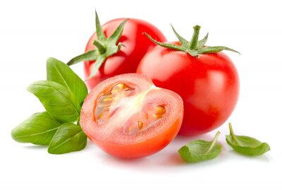 Tableau  Tomate au basilic