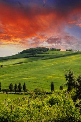 Tableau  Toscane collines et la campagne dans la région de Chianti