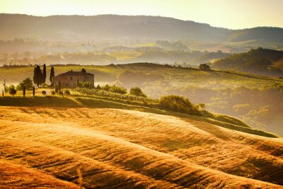 Tableau  Toscane et paysage des champs