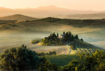 Tableau  Toscane italie matin brumeux colline panorama