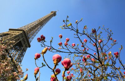 Tableau  Tour Eiffel au printemps, Paris, France