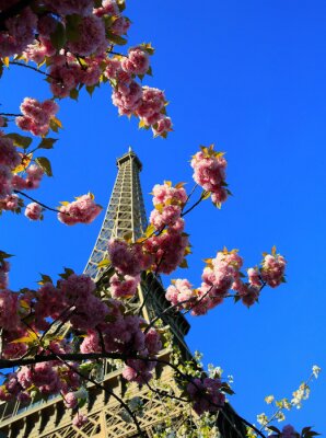 Tableau  Tour Eiffel au printemps, Paris, France