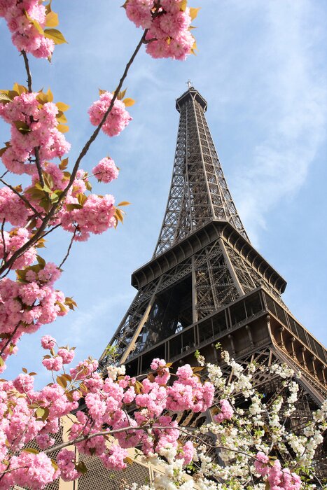 Tableau  Tour Eiffel parmi les fleurs roses